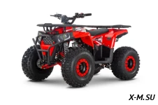 Квадроцикл WELS Trail 125