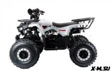 Квадроцикл MOTOLAND (МОТОЛЕНД) 125 STORM A