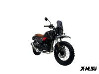 Мотоцикл TMBK FAHRENHEIT 250 (165 FMM)