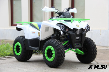 Квадроцикл Iride ROVER 200