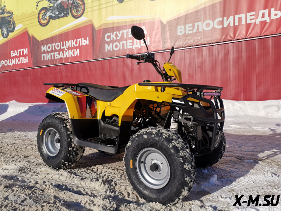 Квадроцикл IRBIS ATV 250 XE (X-MOTORS EDITION)