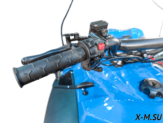 Снегоход IRBIS TUNGUS 600L GEN1 25/26