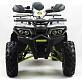 Квадроцикл PROMAX WILD 300 LUX