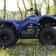 Квадроцикл Grizzly 125